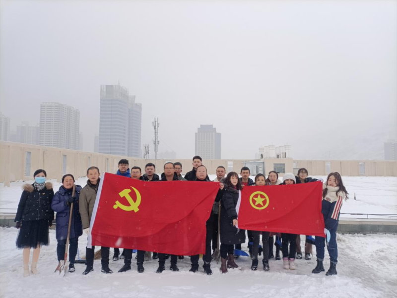 黨團齊發力 除雪在一線——現代物流公司黨支部開展除雪保安全活動